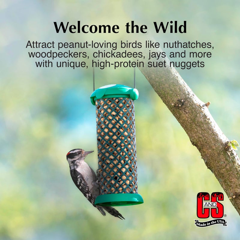 CS C&S Peanut Suet Nuggets, Outdoor Wild Bird Food for Nuthatches, Woodpeckers and Chickadees, 27 Ounces - Image 3